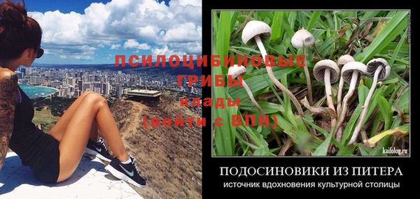 соль курить ск Гусев