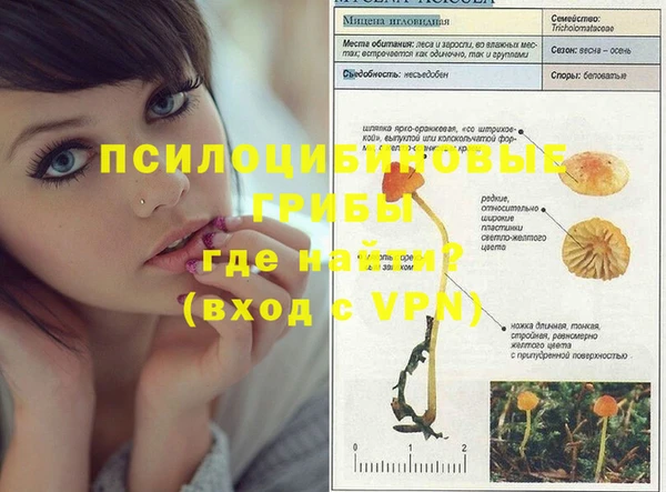 мефедрон мука Гусь-Хрустальный
