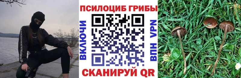 Псилоцибиновые грибы GOLDEN TEACHER  Купить закладки  Саянск 