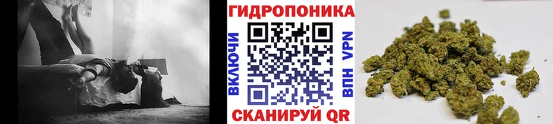 Марихуана семена  Купить закладки  Саянск 